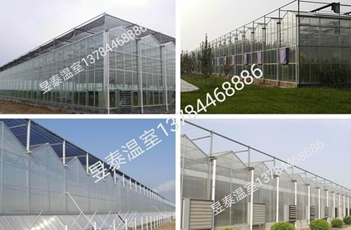 玻璃温室&阳光板温室