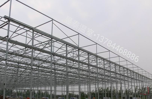 玻璃温室&阳光板温室