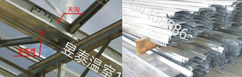 玻璃温室&阳光板温室