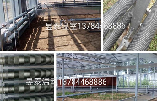 玻璃温室&阳光板温室