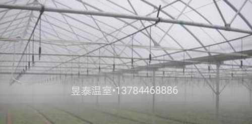 玻璃温室&阳光板温室