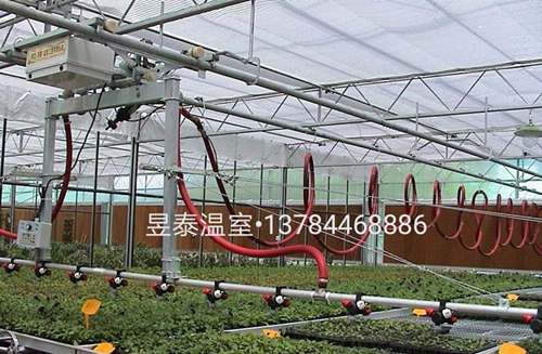 玻璃温室&阳光板温室