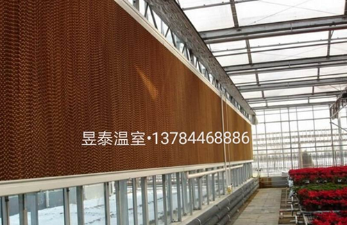 玻璃温室&阳光板温室