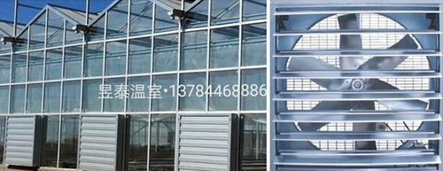 玻璃温室&阳光板温室