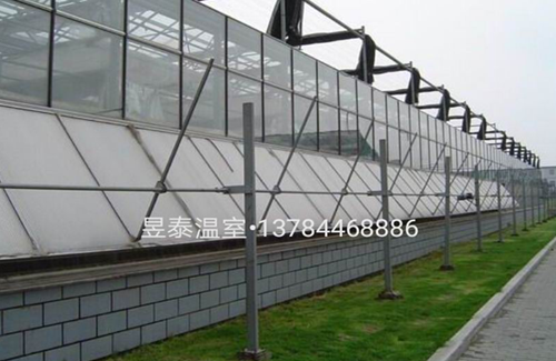 玻璃温室&阳光板温室