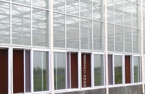 玻璃温室&阳光板温室