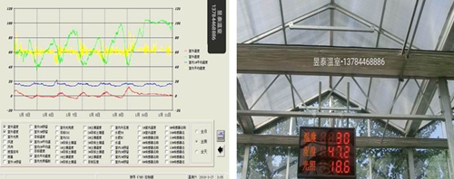 玻璃温室&阳光板温室
