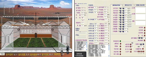 玻璃温室&阳光板温室