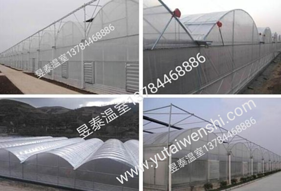拱型薄膜连栋温室