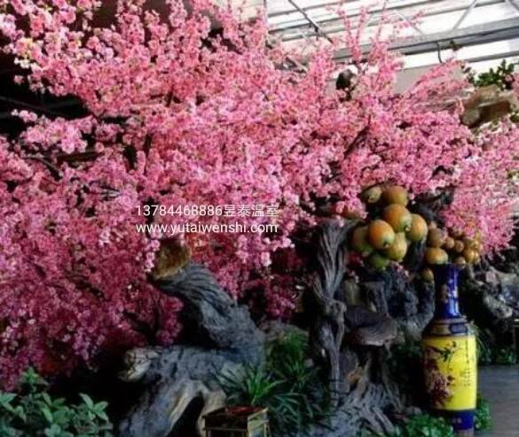 解读“生态餐厅”