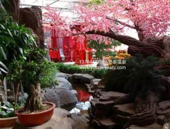 解读“生态餐厅”