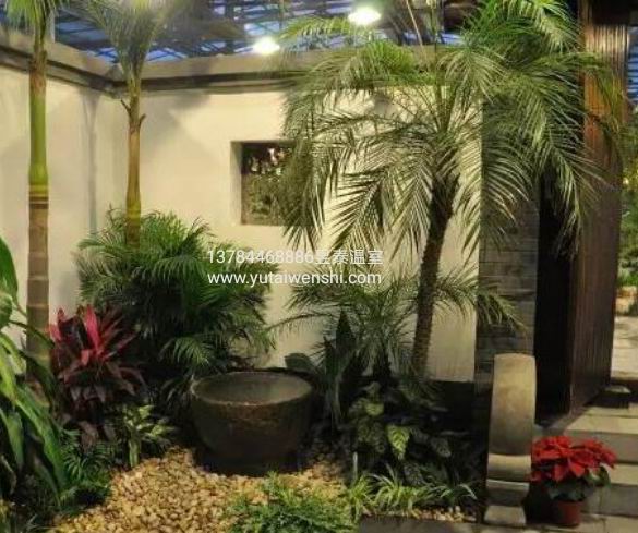 解读“生态餐厅”