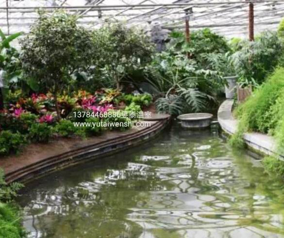 解读“生态餐厅”