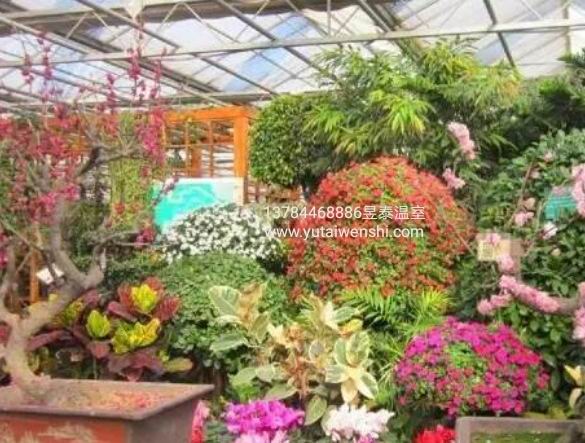 解读“生态餐厅”