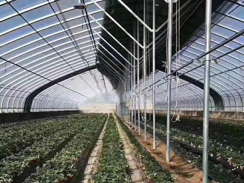 新型节能暖棚_昱泰温室工程（廊坊）有限公司