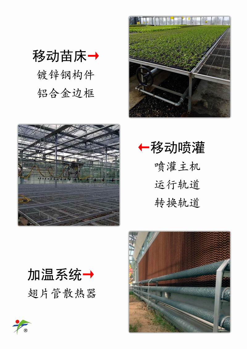 玻璃连栋温室
