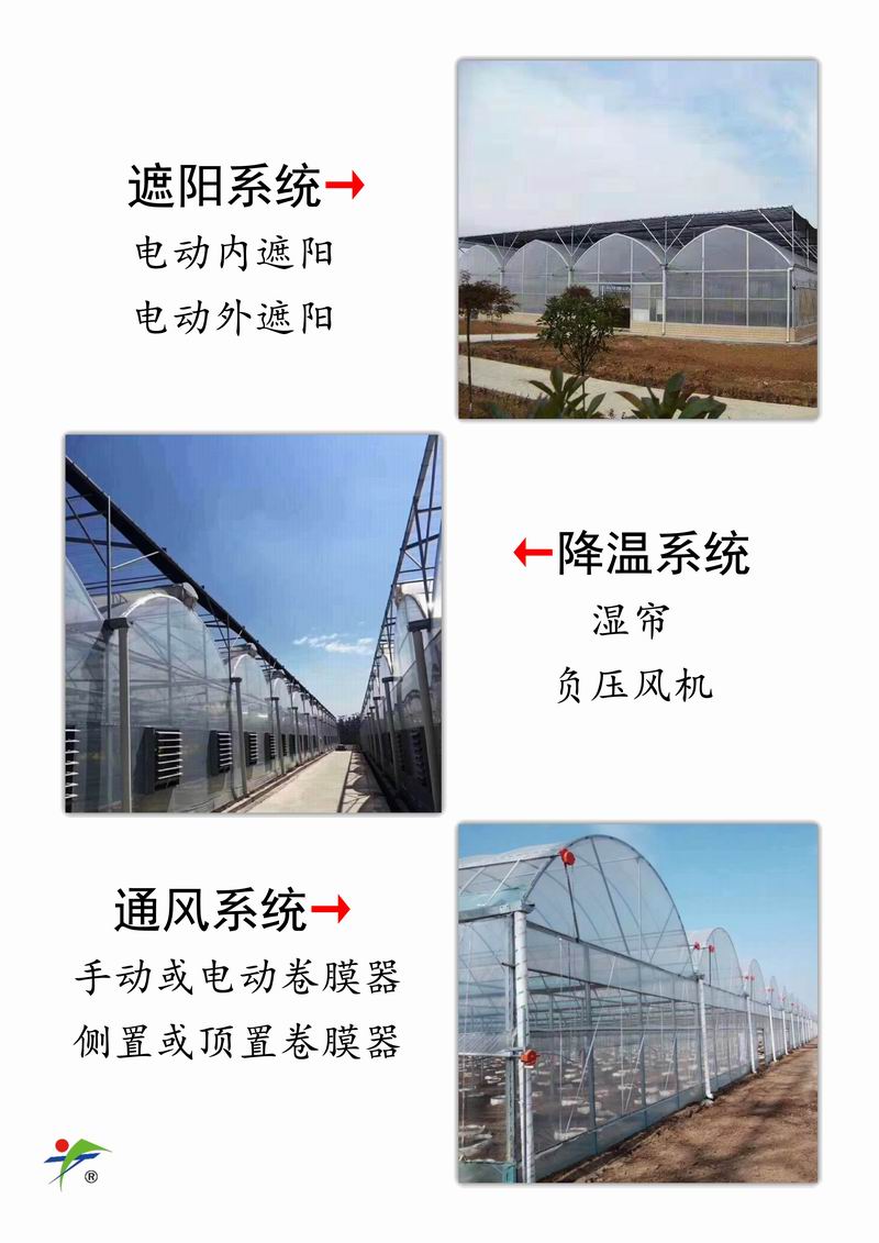 薄膜连栋温室